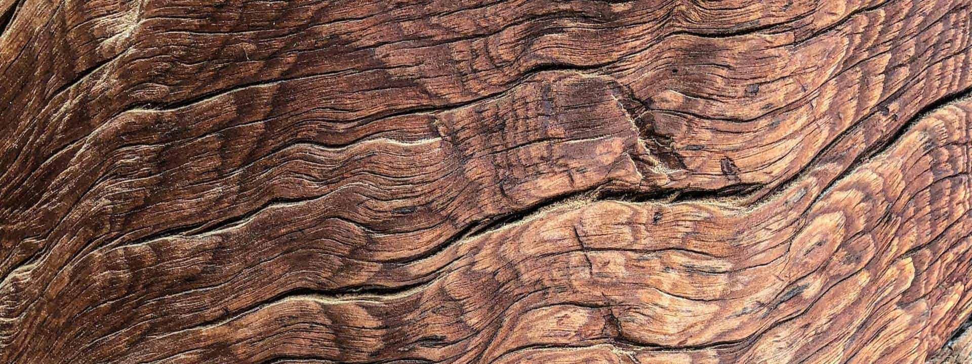 Textured wooden surface with natural patterns.